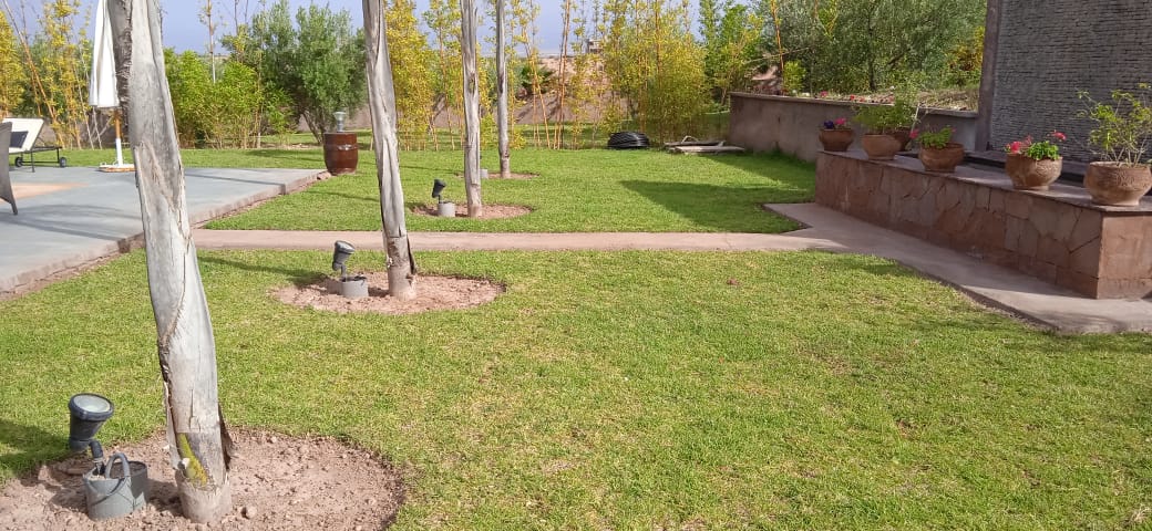 Villa dalia gallery image 12