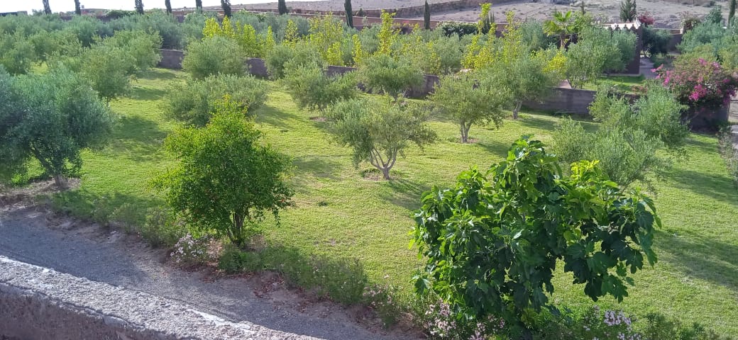 Villa dalia gallery image 13
