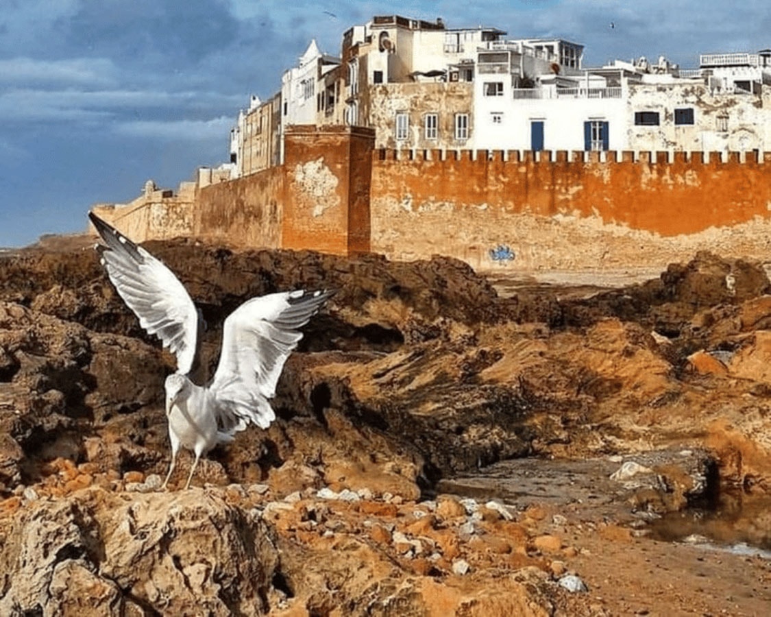 Essaouira Full-Day Trip gallery image 8