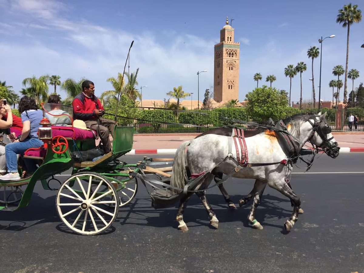 Marrakech gallery image 5
