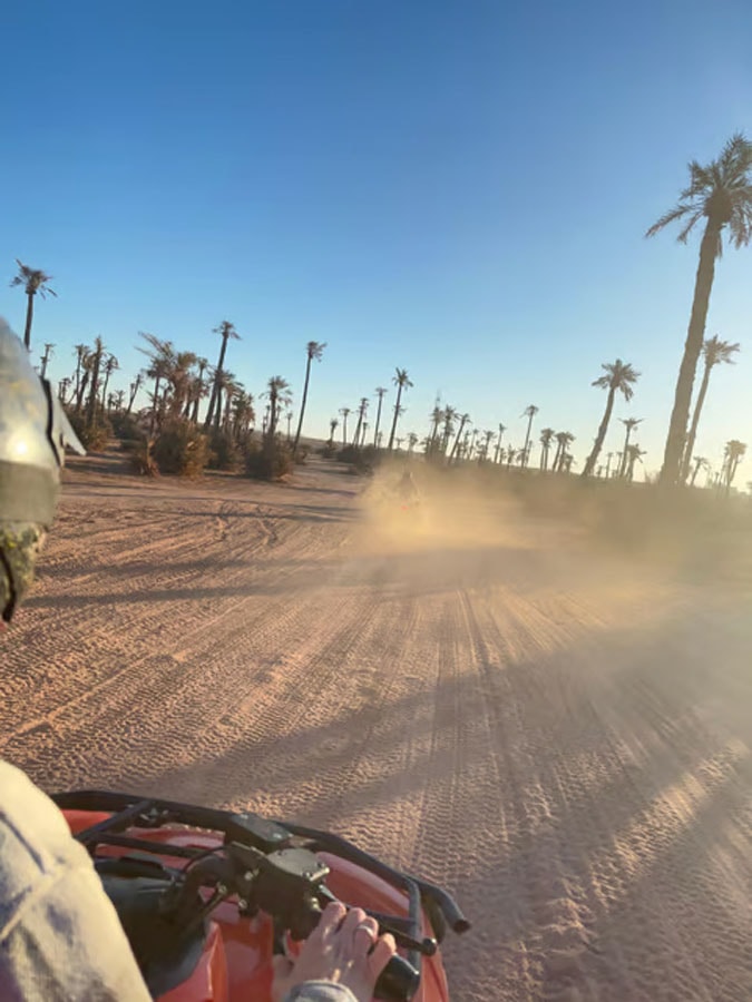 Marrakech: Palmeraie Quad Bike gallery image 13