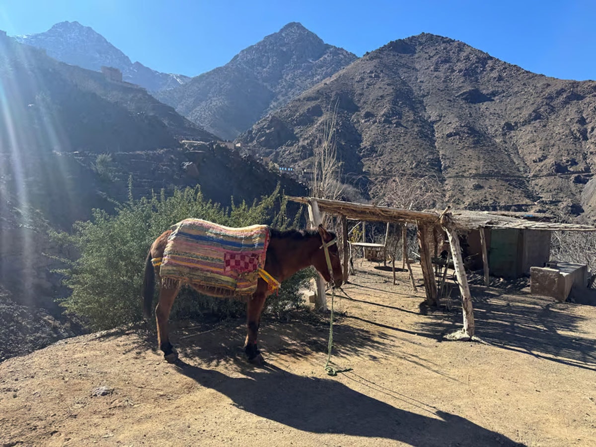 Atlas Mountains gallery image 15
