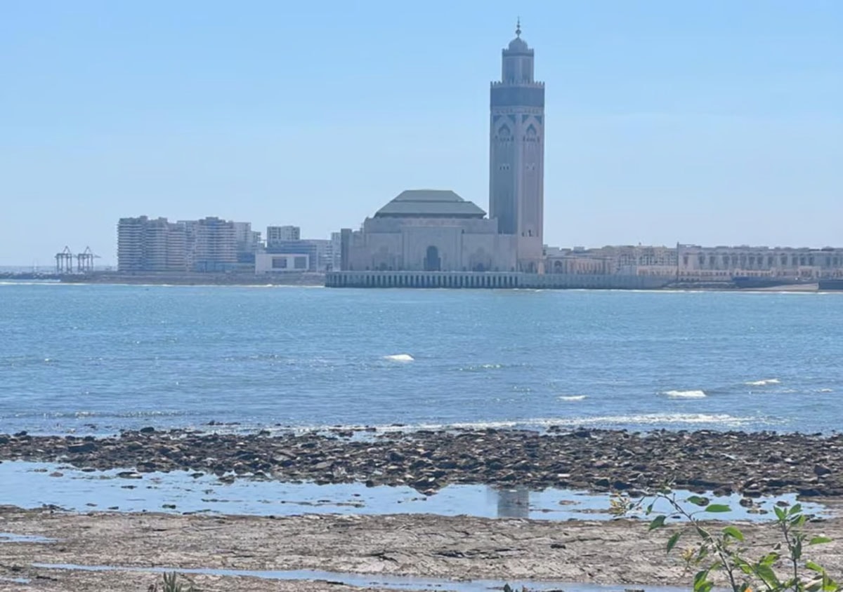 Casablanca gallery image 15