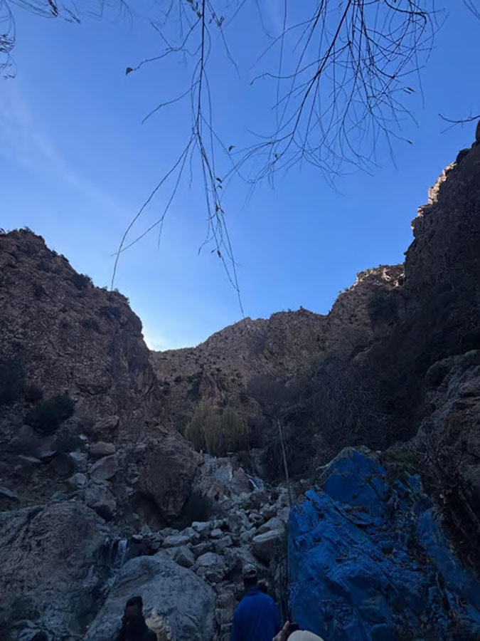 Ourika gallery image 19