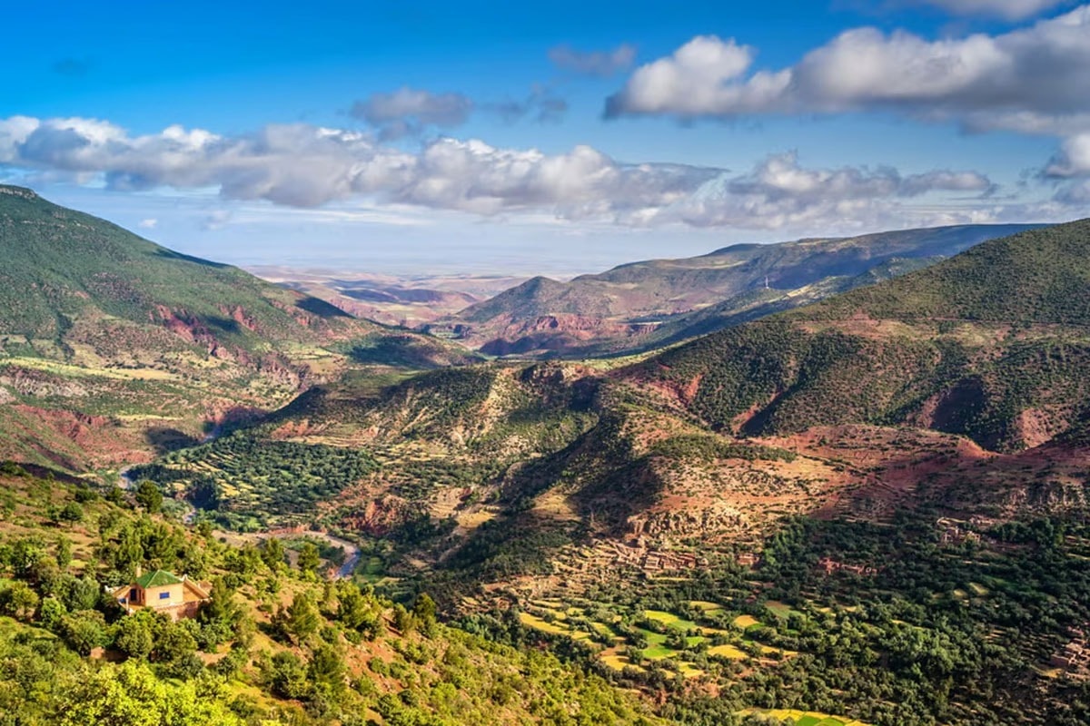 Atlas Mountains gallery image 6