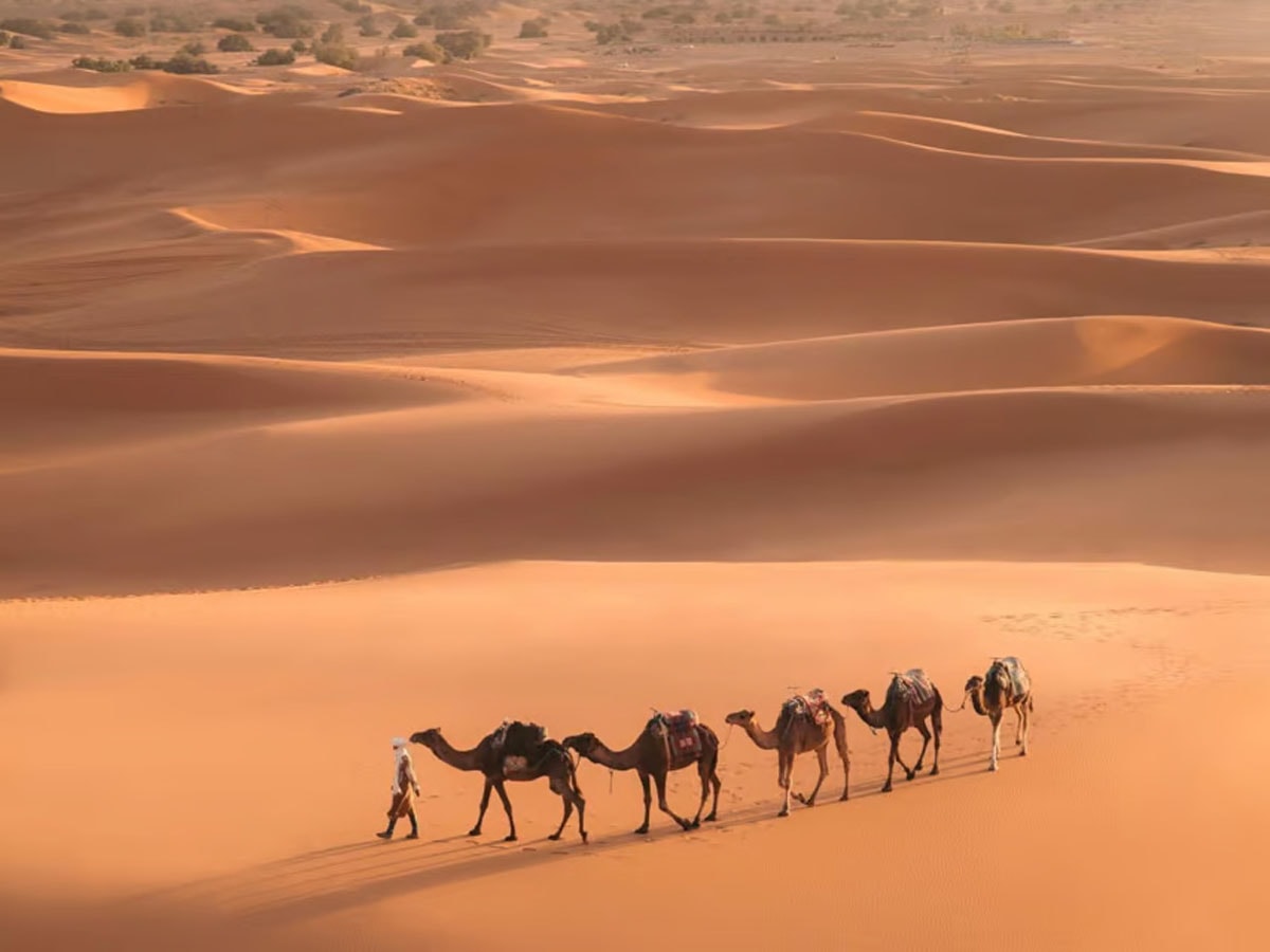 Merzouga gallery image 22