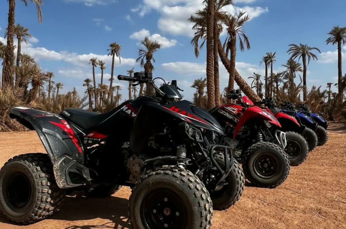 Marrakech: Palmeraie Quad Bike gallery image 6