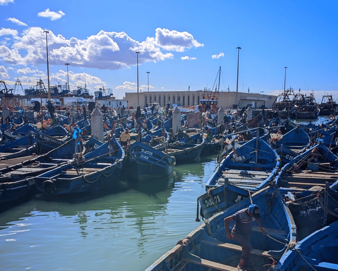 Essaouira Full-Day Trip gallery image 15