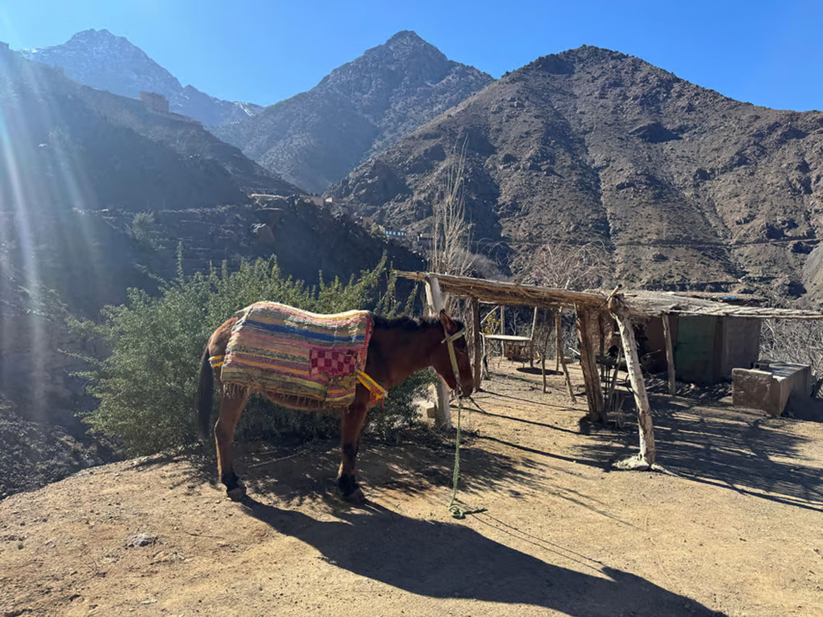 Atlas Mountains gallery image 15