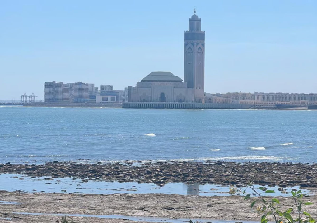 Casablanca gallery image 15