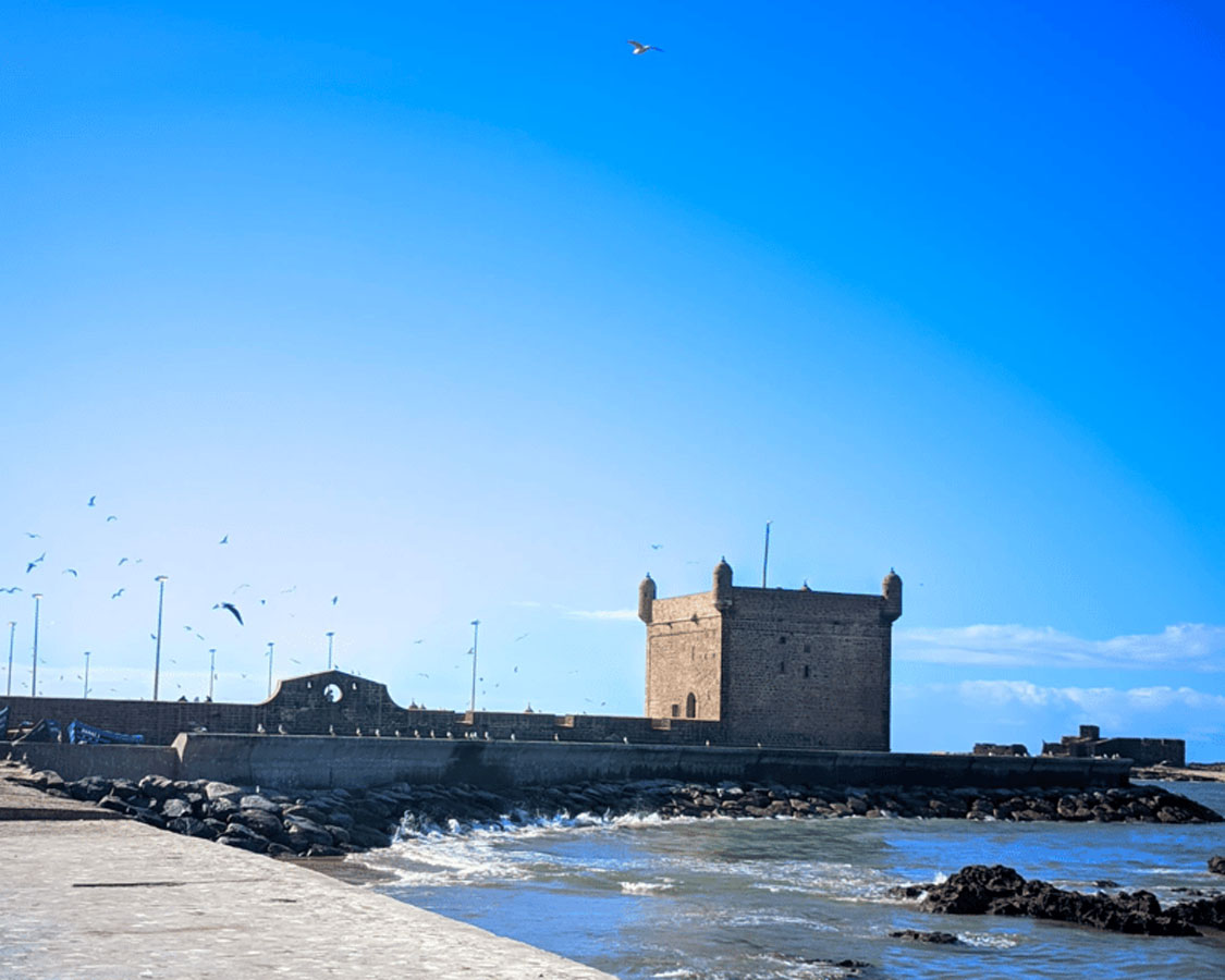 Essaouira Full-Day Trip gallery image 12